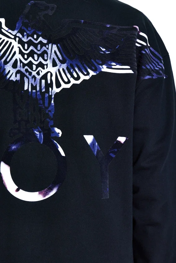 Sudadera Boy Eagle Flock