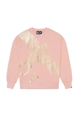Sudadera Boy Wingspan