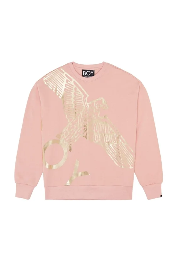 Sudadera Boy Wingspan