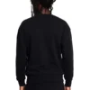 Sudadera Boy Wingspan