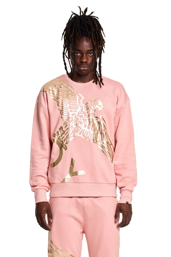 Sudadera Boy Wingspan