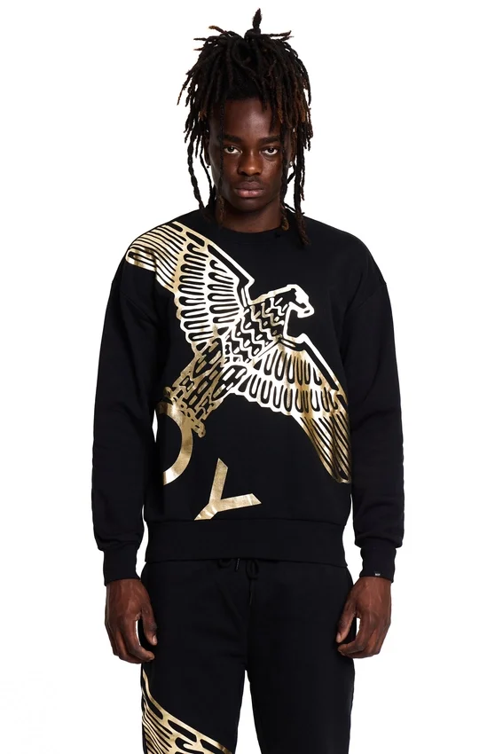 Sudadera Boy Wingspan