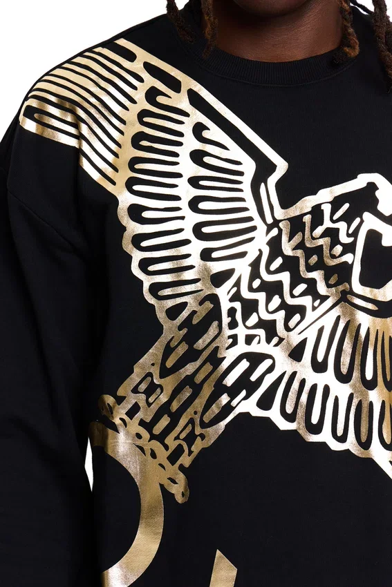 Sudadera Boy Wingspan